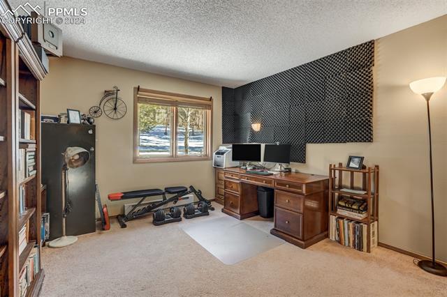 MLS Image for 320  Morning Sun  ,Woodland Park, Colorado