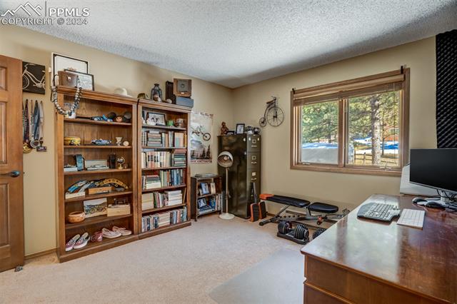 MLS Image for 320  Morning Sun  ,Woodland Park, Colorado