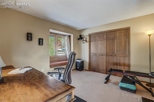 MLS Image for 320  Morning Sun  ,Woodland Park, Colorado