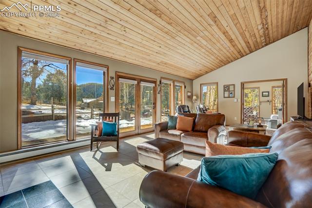 MLS Image for 320  Morning Sun  ,Woodland Park, Colorado