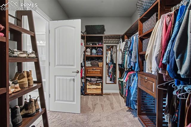 MLS Image for 10363  Mount Rosa  ,Colorado Springs, Colorado