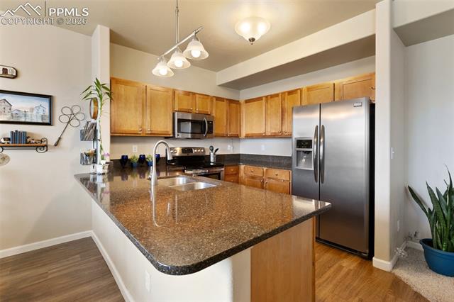 MLS Image for 4338  Alder Springs   ,Colorado Springs, Colorado