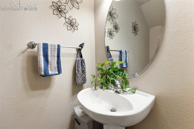 MLS Image for 4338  Alder Springs   ,Colorado Springs, Colorado