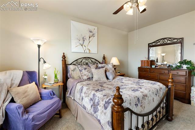 MLS Image for 4338  Alder Springs   ,Colorado Springs, Colorado