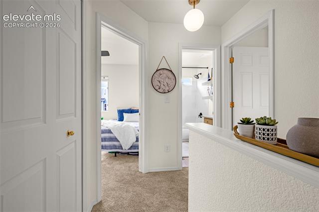 MLS Image for 7284  Eagle Canyon  ,Colorado Springs, Colorado