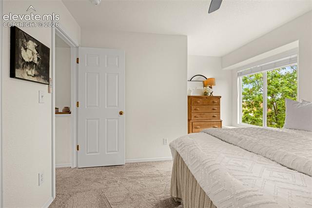 MLS Image for 7284  Eagle Canyon  ,Colorado Springs, Colorado
