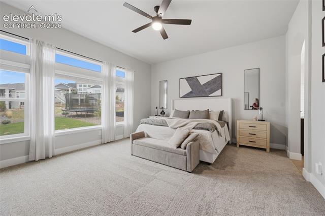 MLS Image for 11872  Hawk Stone  ,Colorado Springs, Colorado