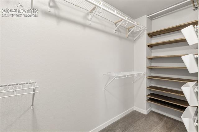 MLS Image for 3254  Daydreamer  ,Colorado Springs, Colorado