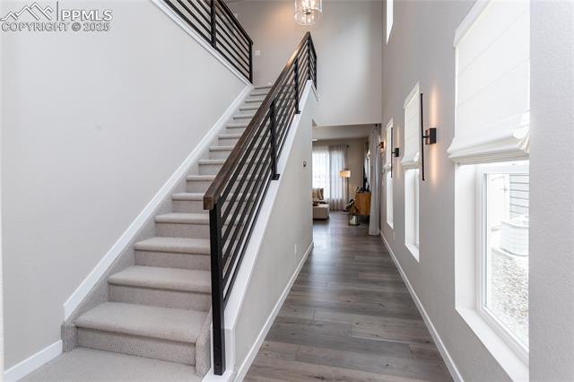 MLS Image for 17698  Lemon Rye  ,Monument, Colorado