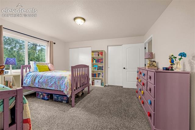 MLS Image for 30  Palm Springs  ,Colorado Springs, Colorado