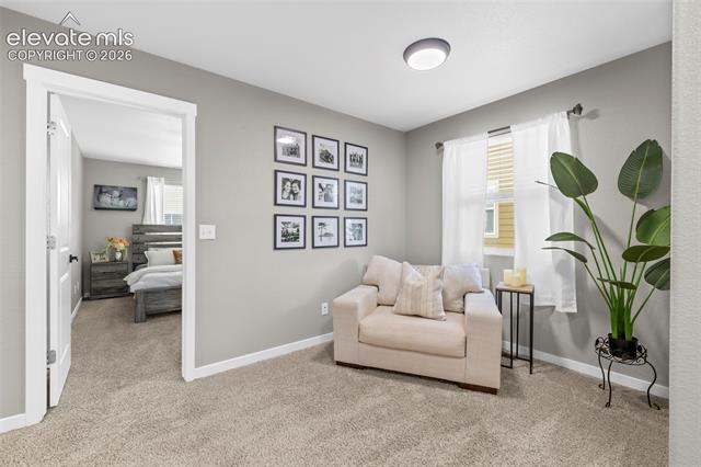 MLS Image for 7815  Dry Willow  ,Colorado Springs, Colorado