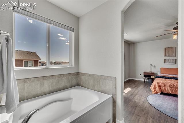 MLS Image for 7705  Cruzer  ,Peyton, Colorado