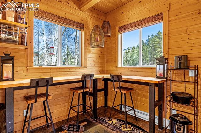 MLS Image for 325  Willow  ,Divide, Colorado