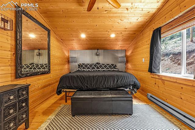 MLS Image for 325  Willow  ,Divide, Colorado