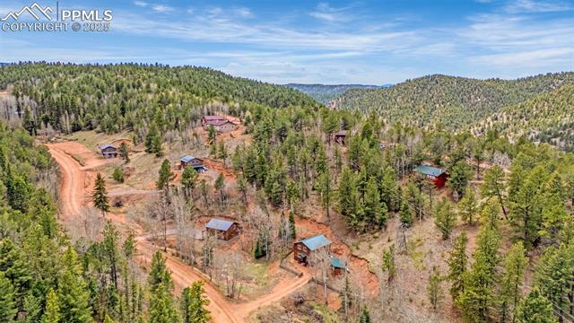 MLS Image for 325  Willow  ,Divide, Colorado