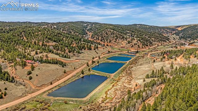 MLS Image for 325  Willow  ,Divide, Colorado