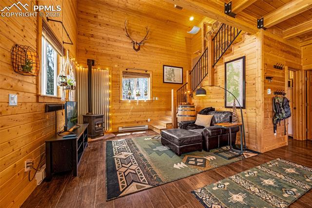 MLS Image for 325  Willow  ,Divide, Colorado
