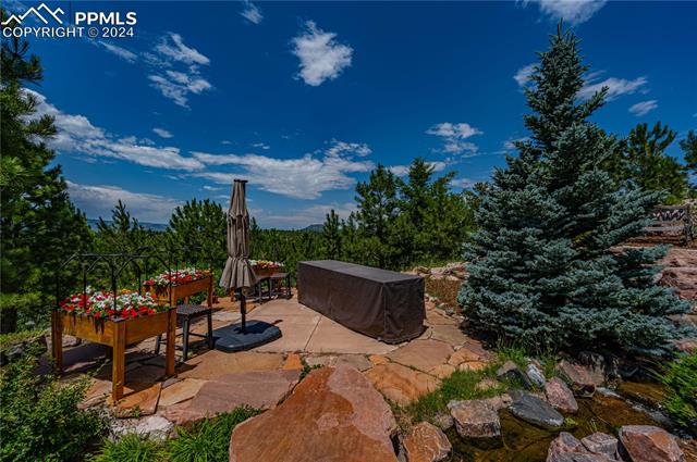 MLS Image for 1193  Silverheels  ,Larkspur, Colorado