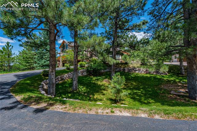 MLS Image for 1193  Silverheels  ,Larkspur, Colorado