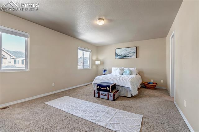 MLS Image for 917  Fire Rock  ,Colorado Springs, Colorado