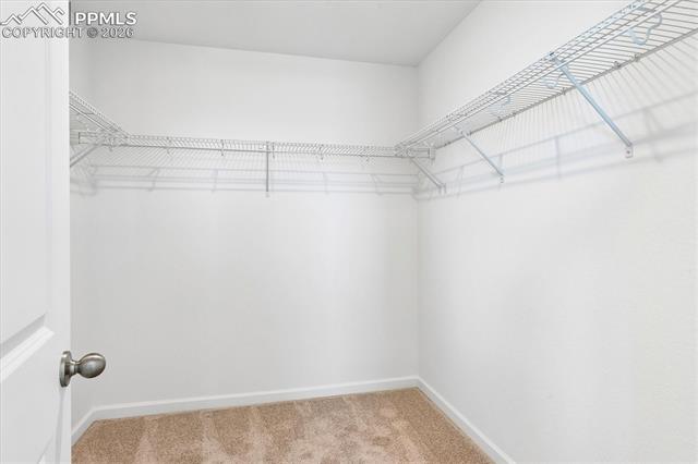 MLS Image for 866  Lux  ,Colorado Springs, Colorado