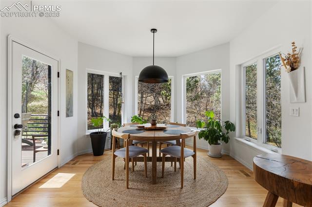 MLS Image for 706  Regulus  ,Colorado Springs, Colorado