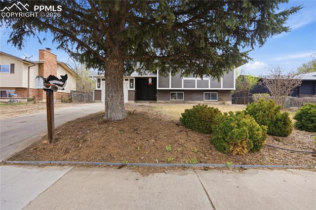MLS Image for 724  Squire  ,Colorado Springs, Colorado