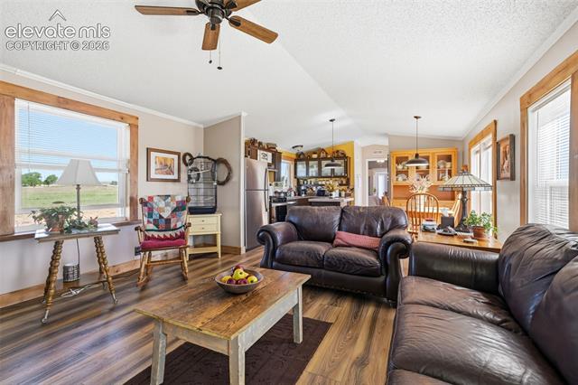 MLS Image for 6355  Field  ,Peyton, Colorado