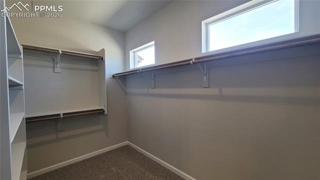 MLS Image for 6532  Miro  ,Colorado Springs, Colorado