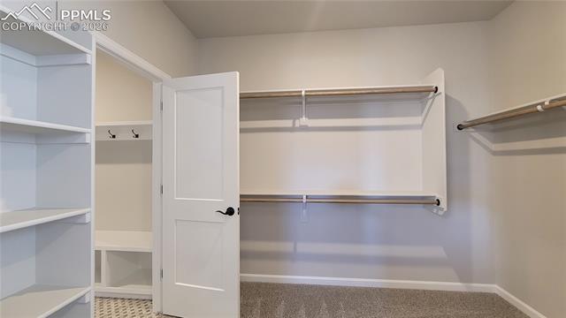 MLS Image for 6532  Miro  ,Colorado Springs, Colorado