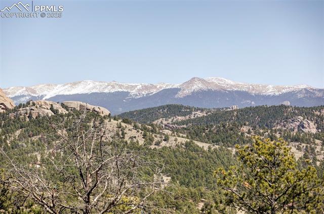 MLS Image for 280  Highland Meadows  ,Florissant, Colorado