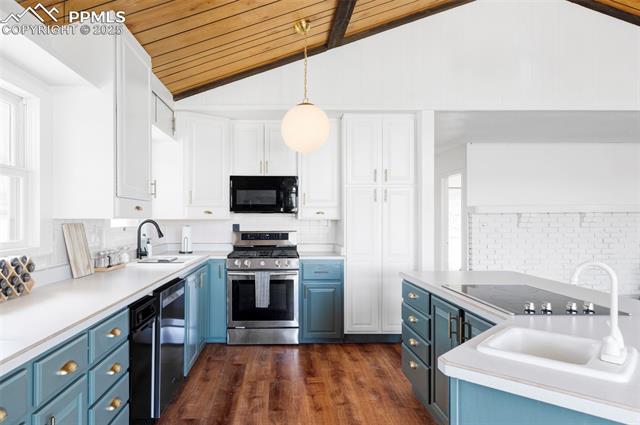 MLS Image for 280  Highland Meadows  ,Florissant, Colorado
