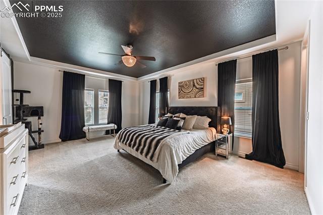 MLS Image for 9671  Fresh Air  ,Colorado Springs, Colorado