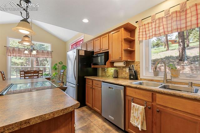 MLS Image for 1563  Southpark  ,Florissant, Colorado