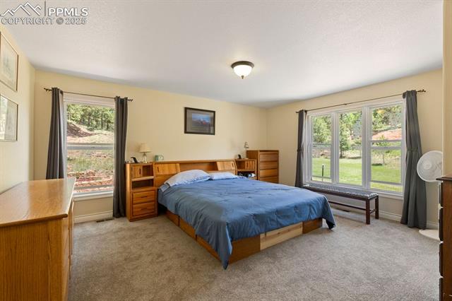 MLS Image for 1563  Southpark  ,Florissant, Colorado