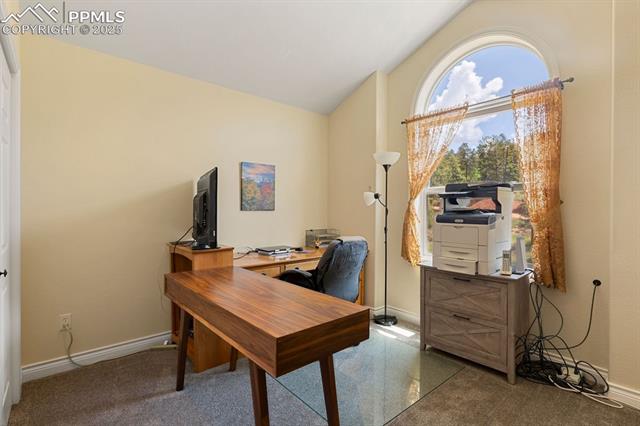 MLS Image for 1563  Southpark  ,Florissant, Colorado