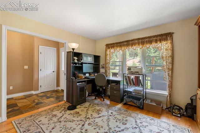 MLS Image for 1563  Southpark  ,Florissant, Colorado