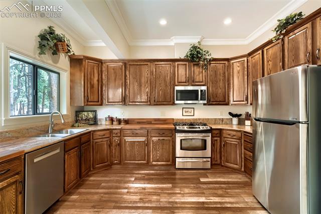 MLS Image for 16265  Roller Coaster  ,Colorado Springs, Colorado