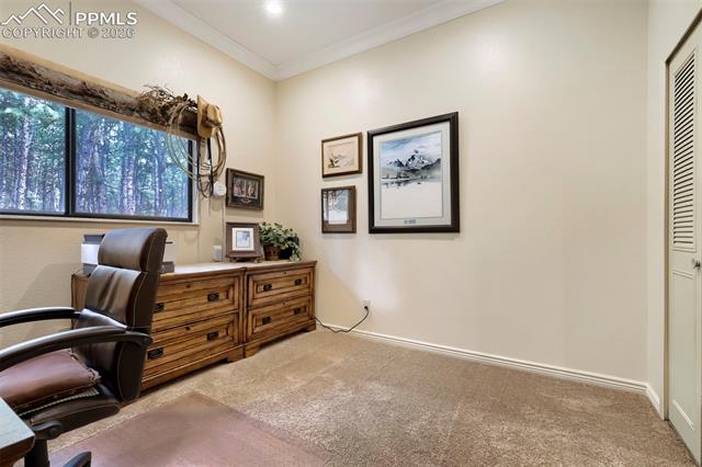 MLS Image for 16265  Roller Coaster  ,Colorado Springs, Colorado