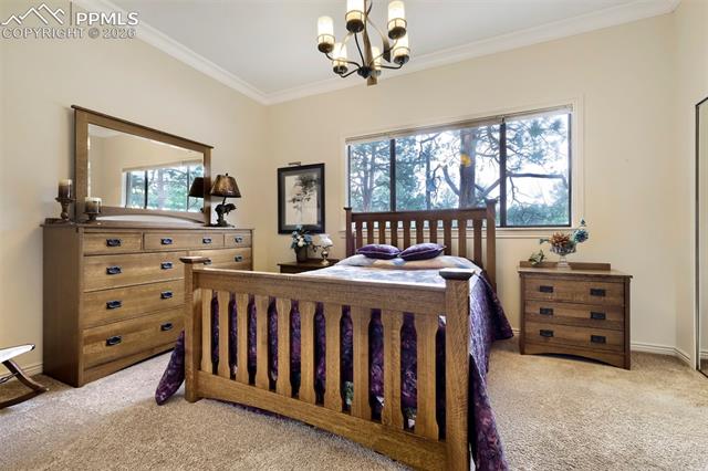 MLS Image for 16265  Roller Coaster  ,Colorado Springs, Colorado