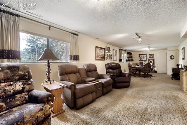MLS Image for 16265  Roller Coaster  ,Colorado Springs, Colorado