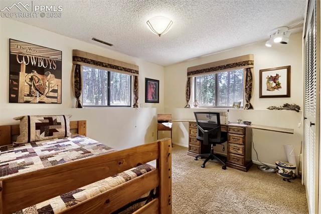 MLS Image for 16265  Roller Coaster  ,Colorado Springs, Colorado