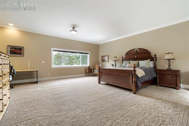 MLS Image for 16265  Roller Coaster  ,Colorado Springs, Colorado