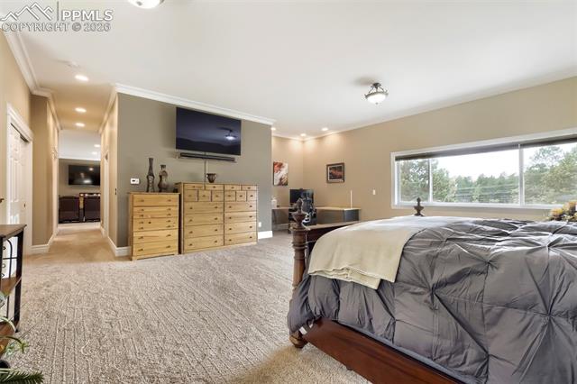 MLS Image for 16265  Roller Coaster  ,Colorado Springs, Colorado