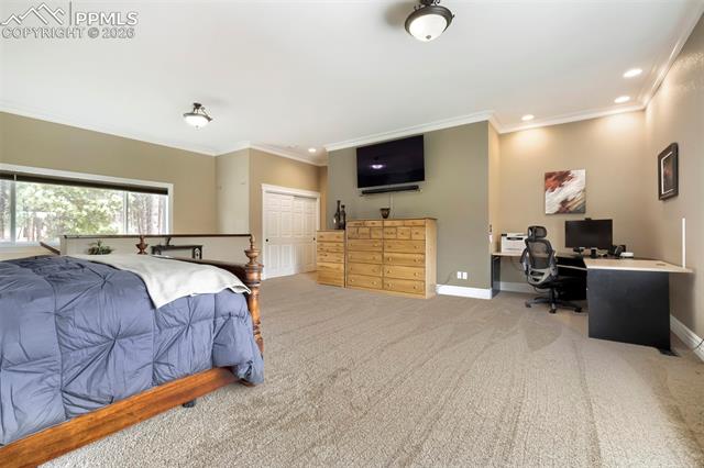 MLS Image for 16265  Roller Coaster  ,Colorado Springs, Colorado