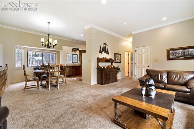 MLS Image for 16265  Roller Coaster  ,Colorado Springs, Colorado