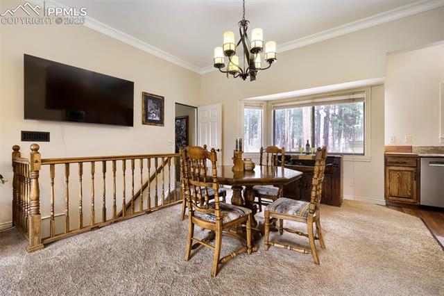 MLS Image for 16265  Roller Coaster  ,Colorado Springs, Colorado