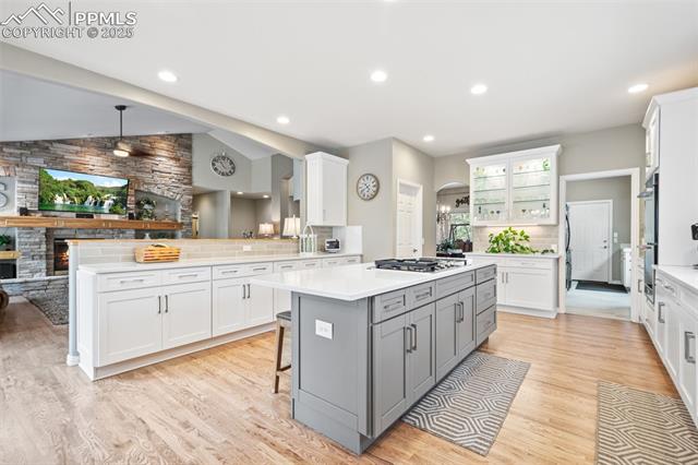 MLS Image for 1275  Fremont  ,Larkspur, Colorado
