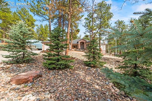 MLS Image for 1275  Fremont  ,Larkspur, Colorado