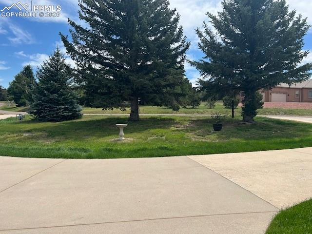 MLS Image for 17840  New London  ,Monument, Colorado